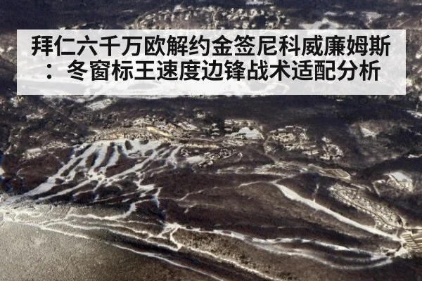 拜仁六千万欧解约金签尼科威廉姆斯：冬窗标王速度边锋战术适配分析